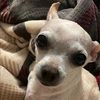 mikey_64